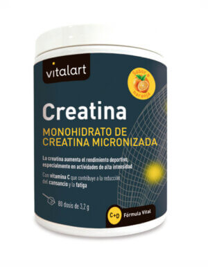 Creatina Monohidrato ·256 gramos - VITALART