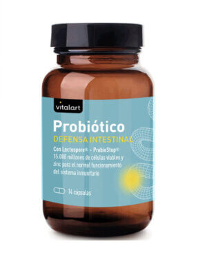 PROBIOTICO 14 cápsulas - VITALART